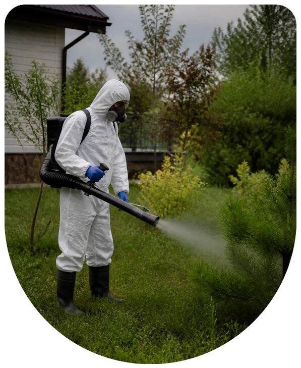 Обработка участка от клещей в Шарыпове с гарантией защиты